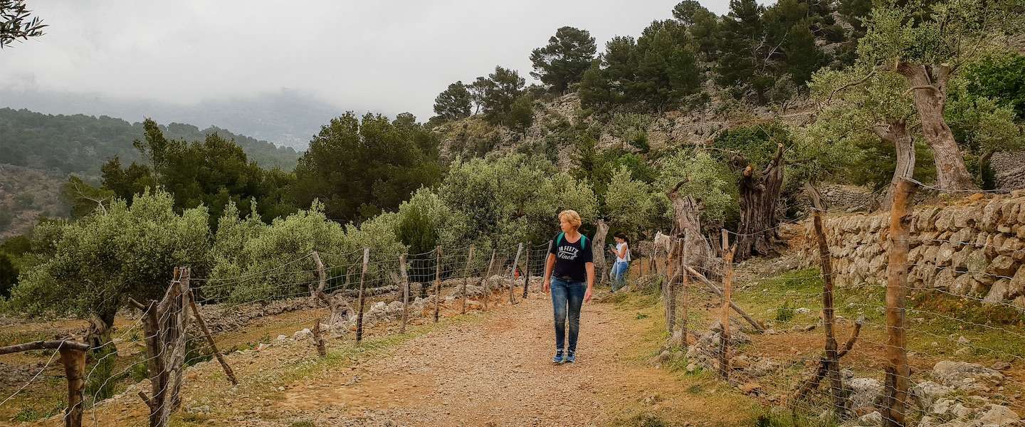 hiken-mallorca.jpg