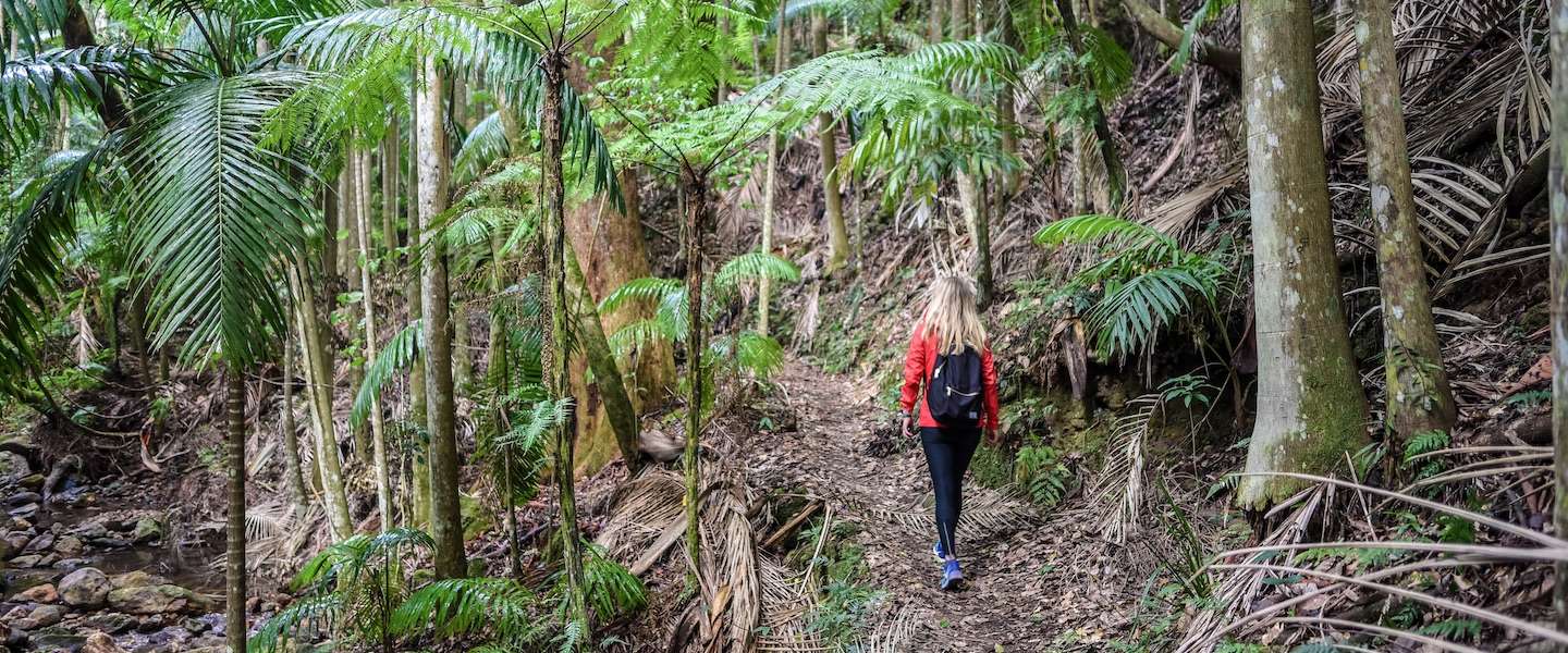 hikes-bucketlist.jpg