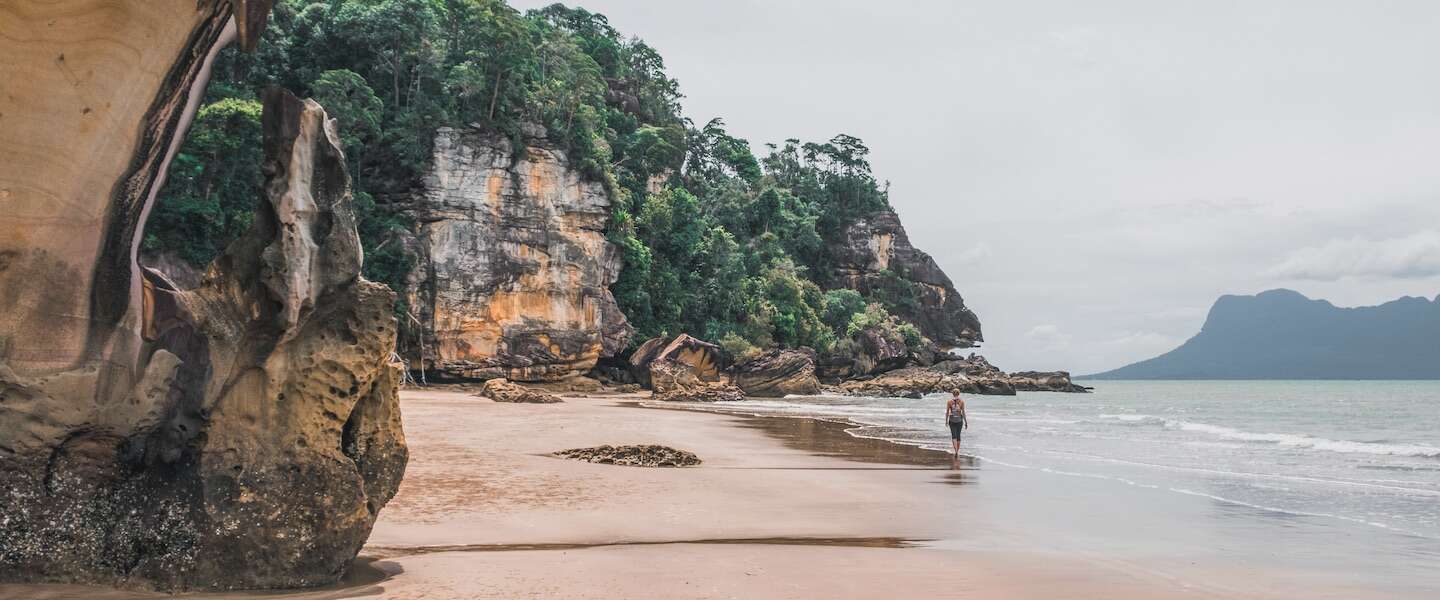 hoogtepunten-west-maleisie-borneo.jpg