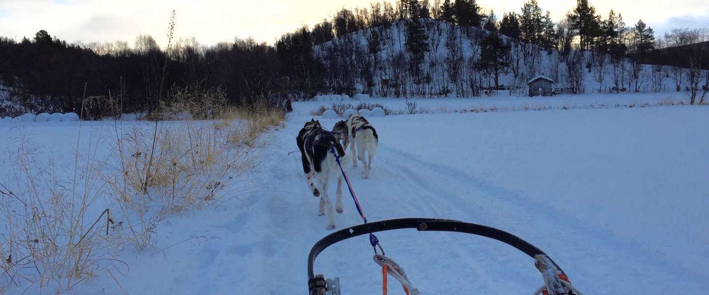 husky-tour-noorse-winter-wonderland.jpg