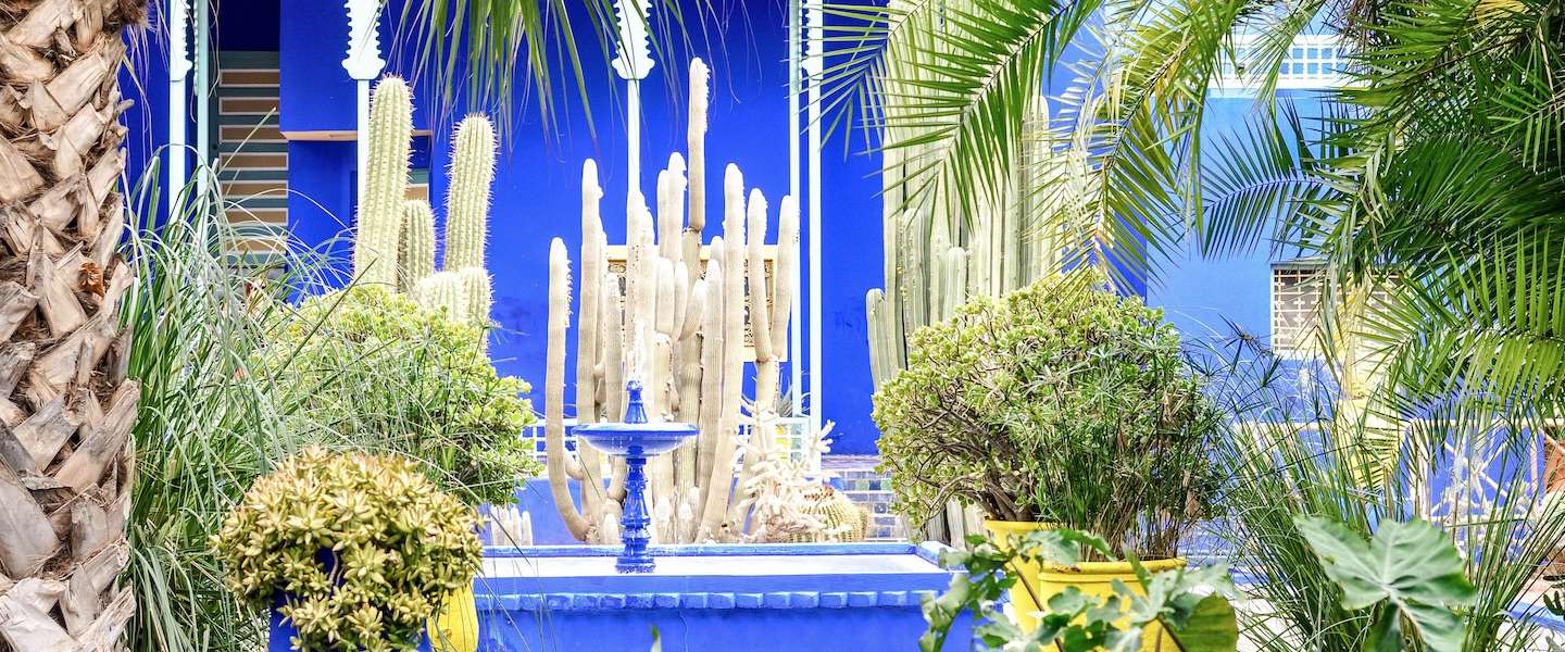 jardin-majorelle-marrakech.jpg