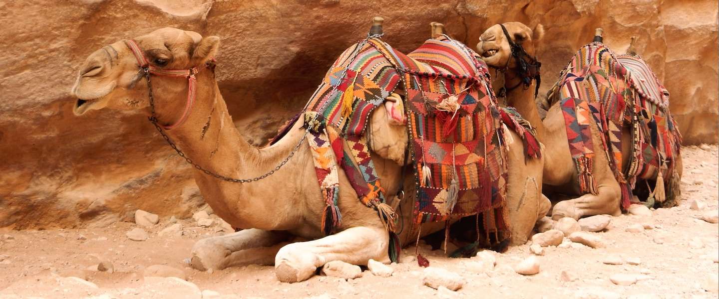 jordanie-rondreis.jpg