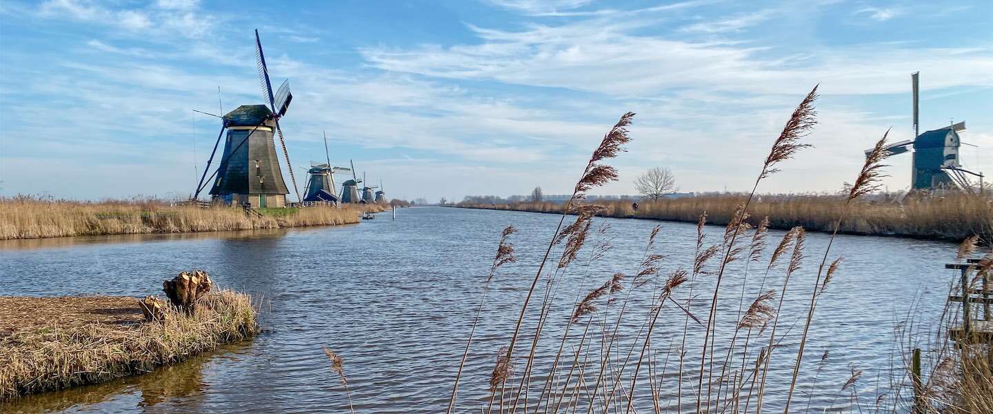 kinderdijk-molens.jpg