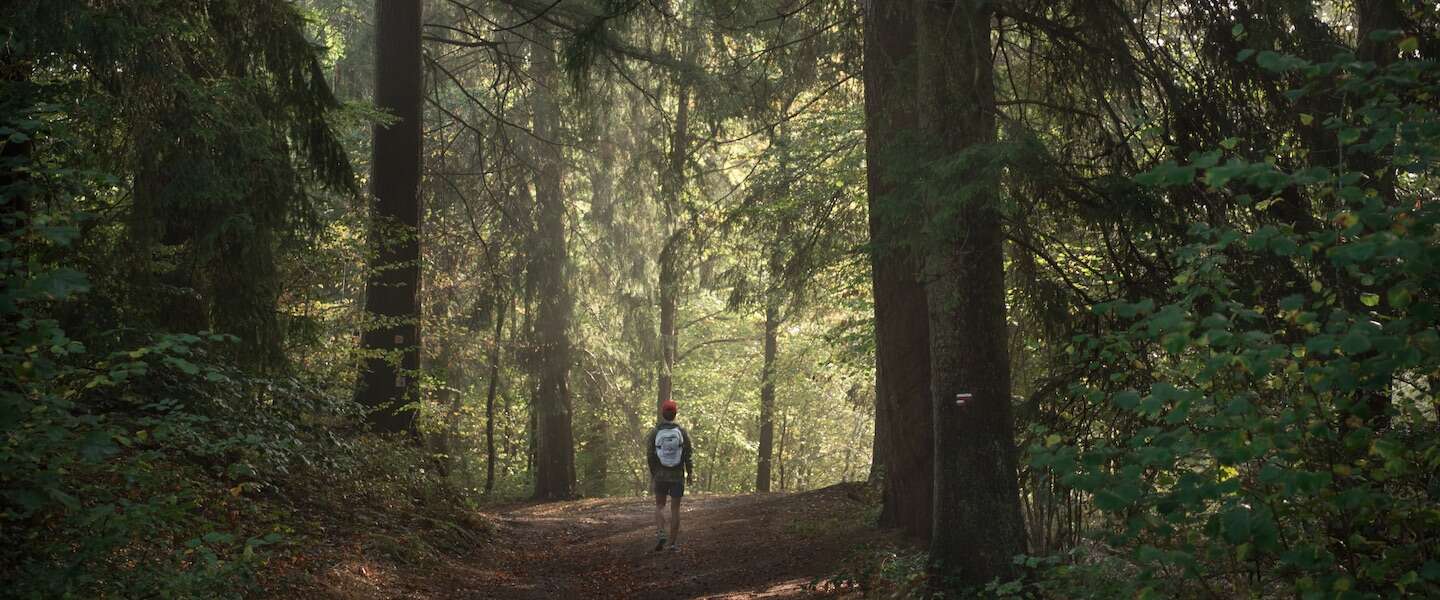 laddertjeswandeling-ardennen-belgie.jpg