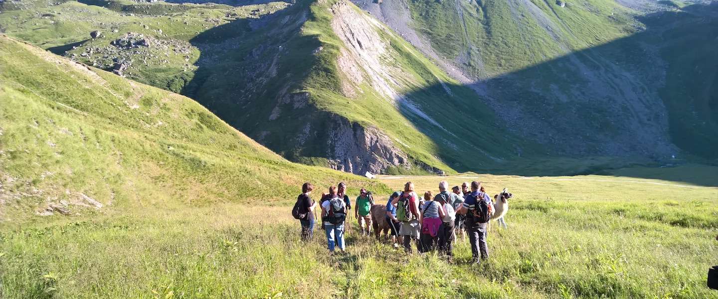 lama-wandeling-valloire.jpg