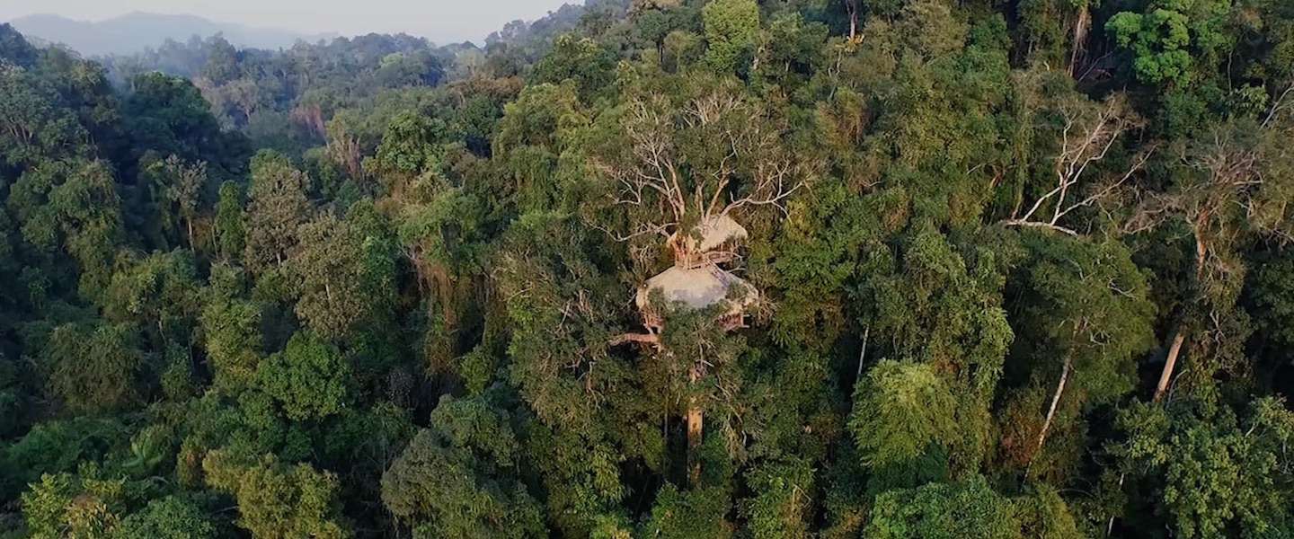 laos-gibbon-experience.jpg