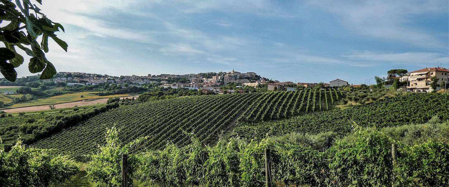 le-marche-italie.jpg