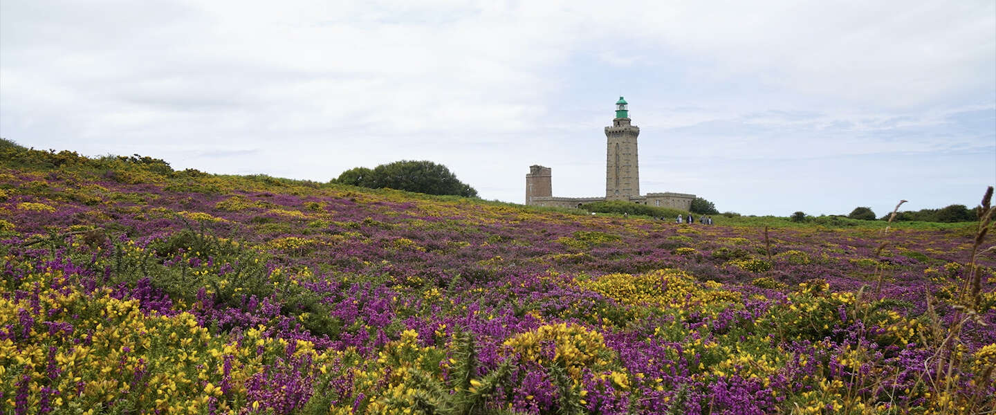 lighthouse-cap-fre-hel.jpg