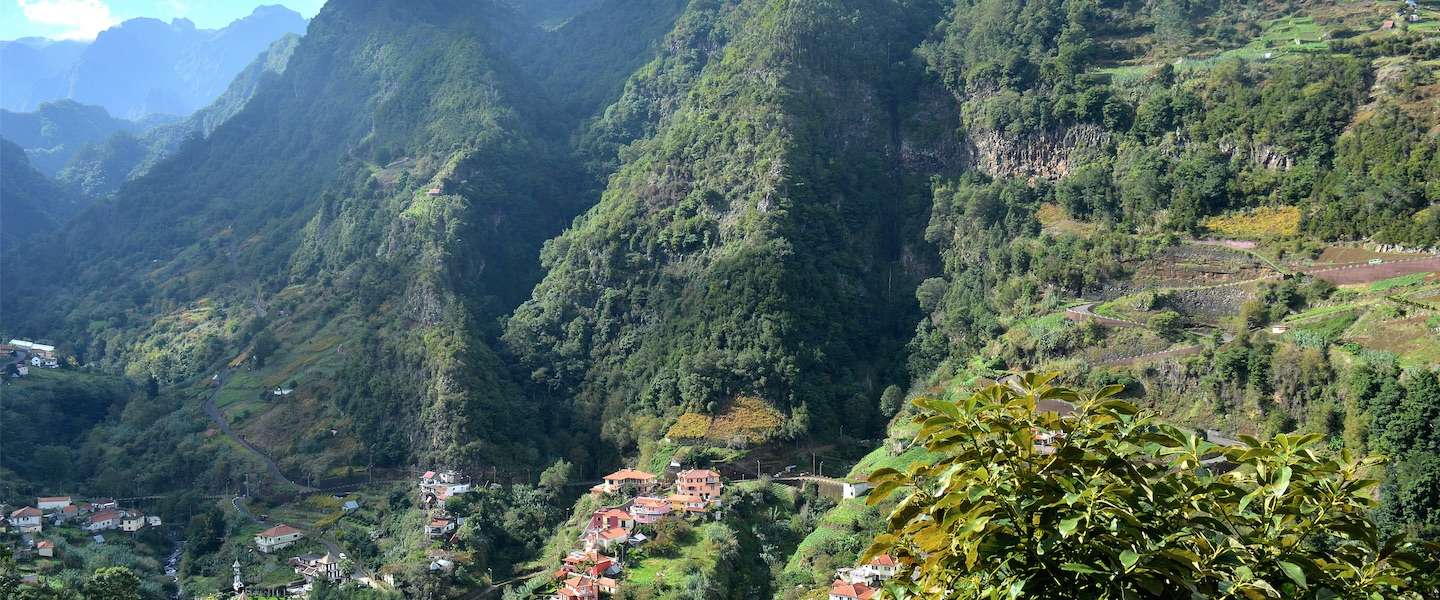 madeira.jpg