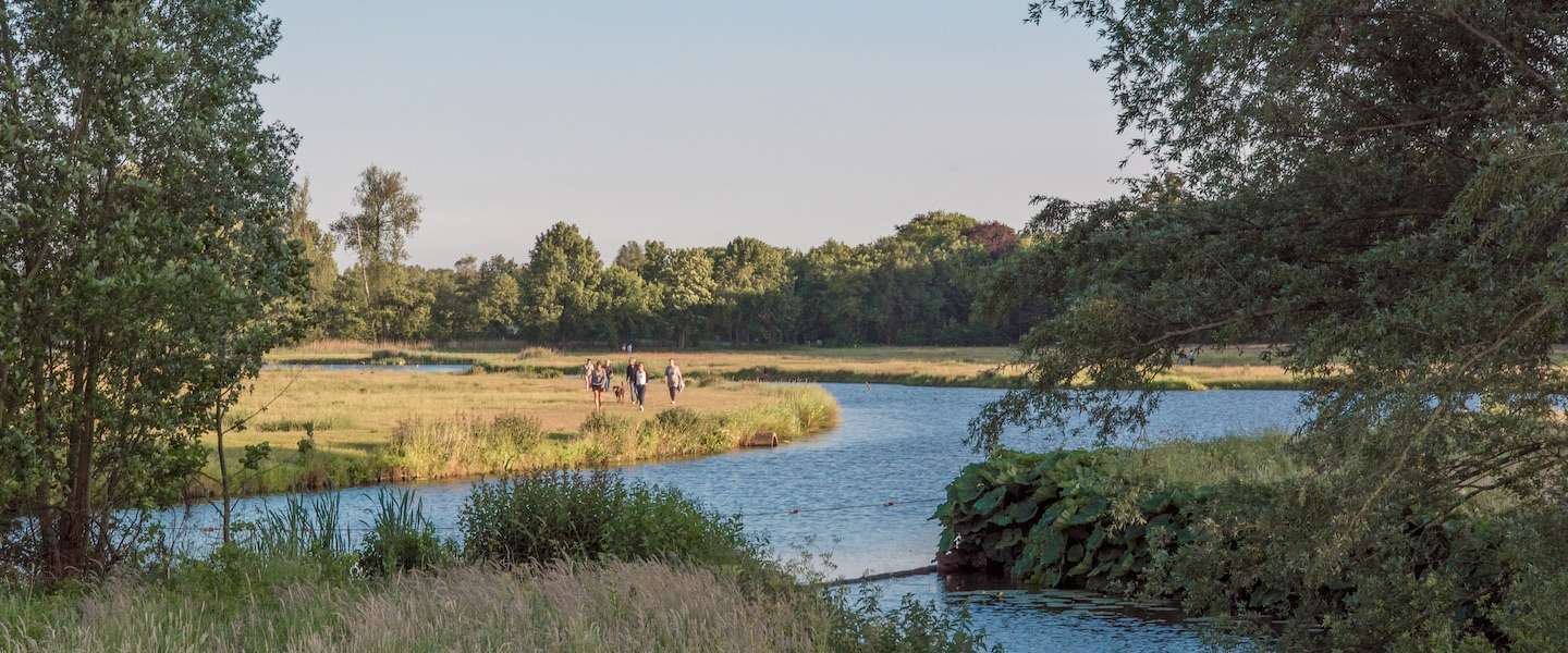 markdal-breda.jpg