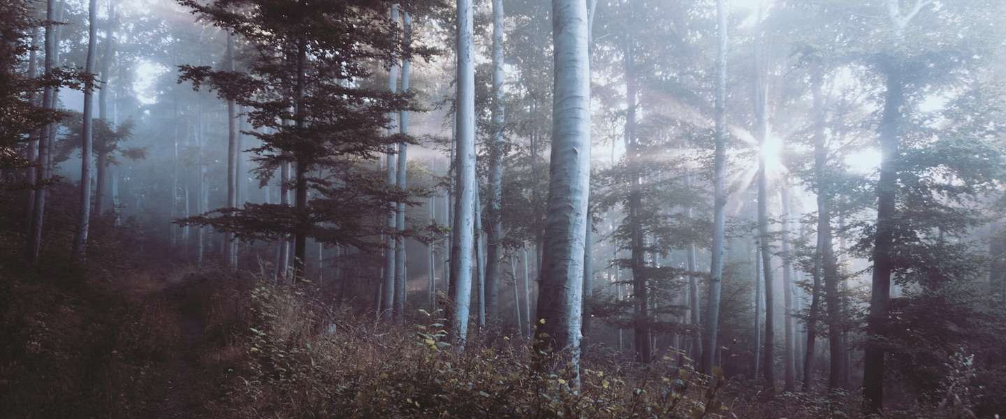 mextures-tips-foto-s-bewerken.jpg