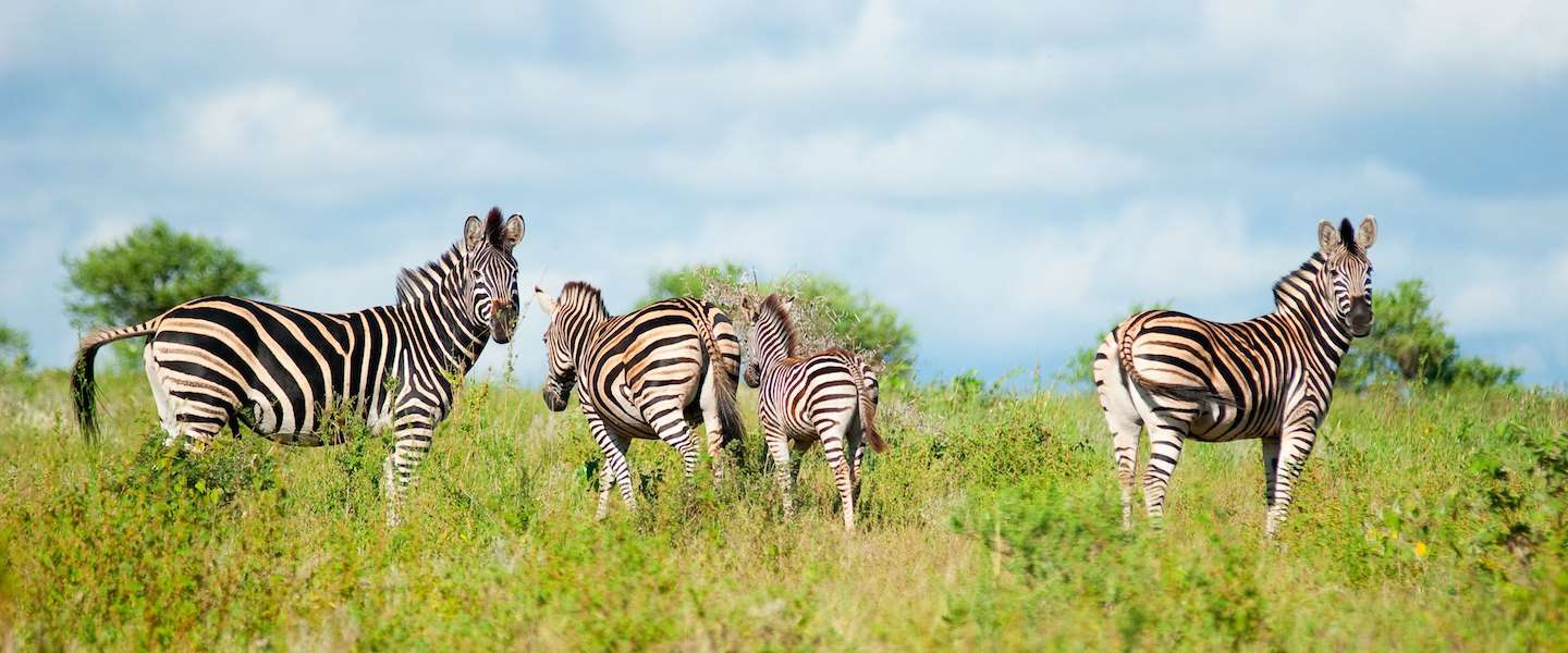 mooiste-nationale-parken-zuid-afrika.jpg