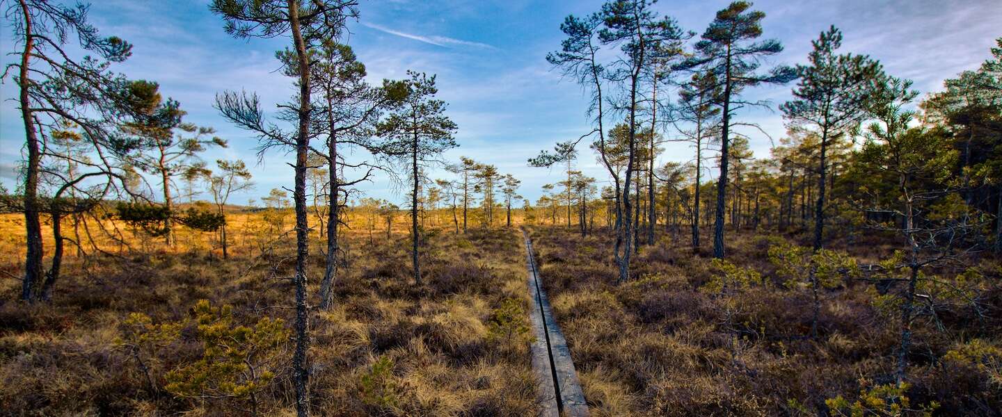 mooiste-nationale-parken-zweden-sma-land.jpg