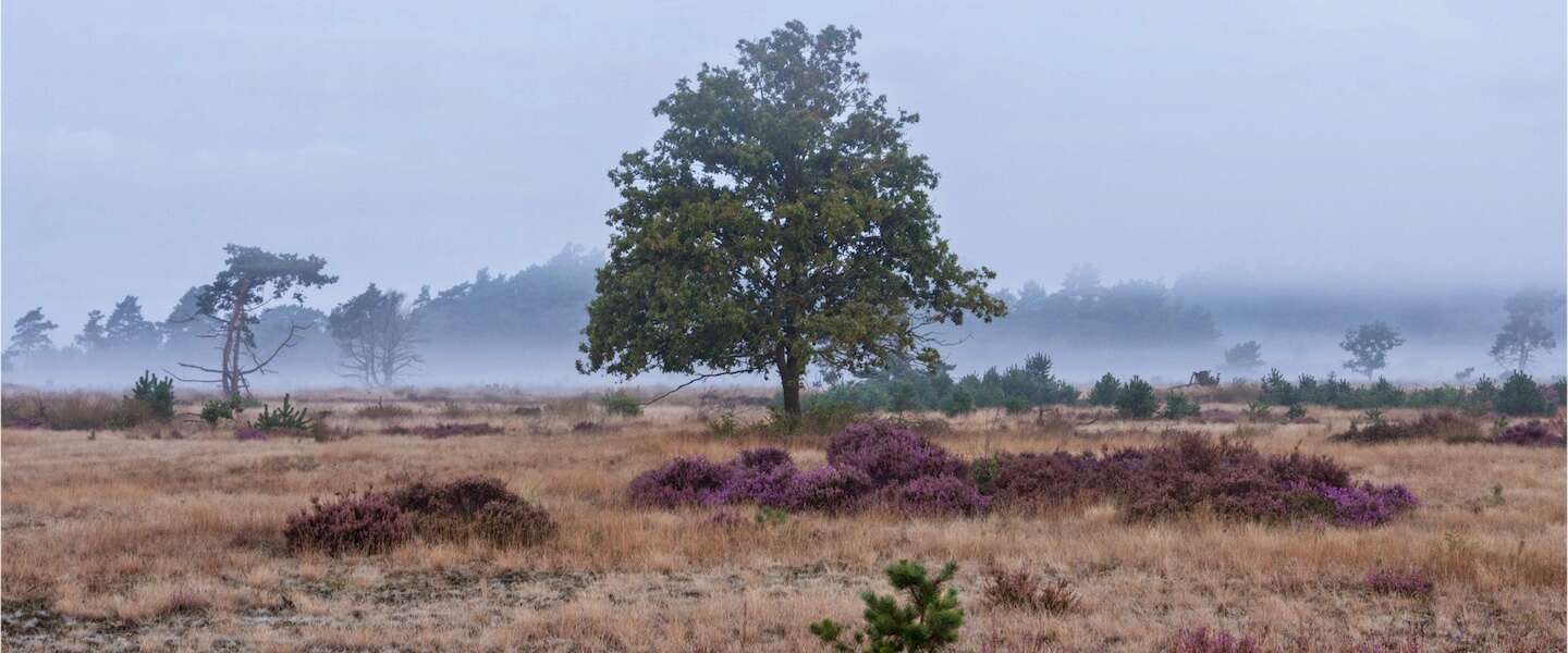 nationale-parken-nederland-1.jpg