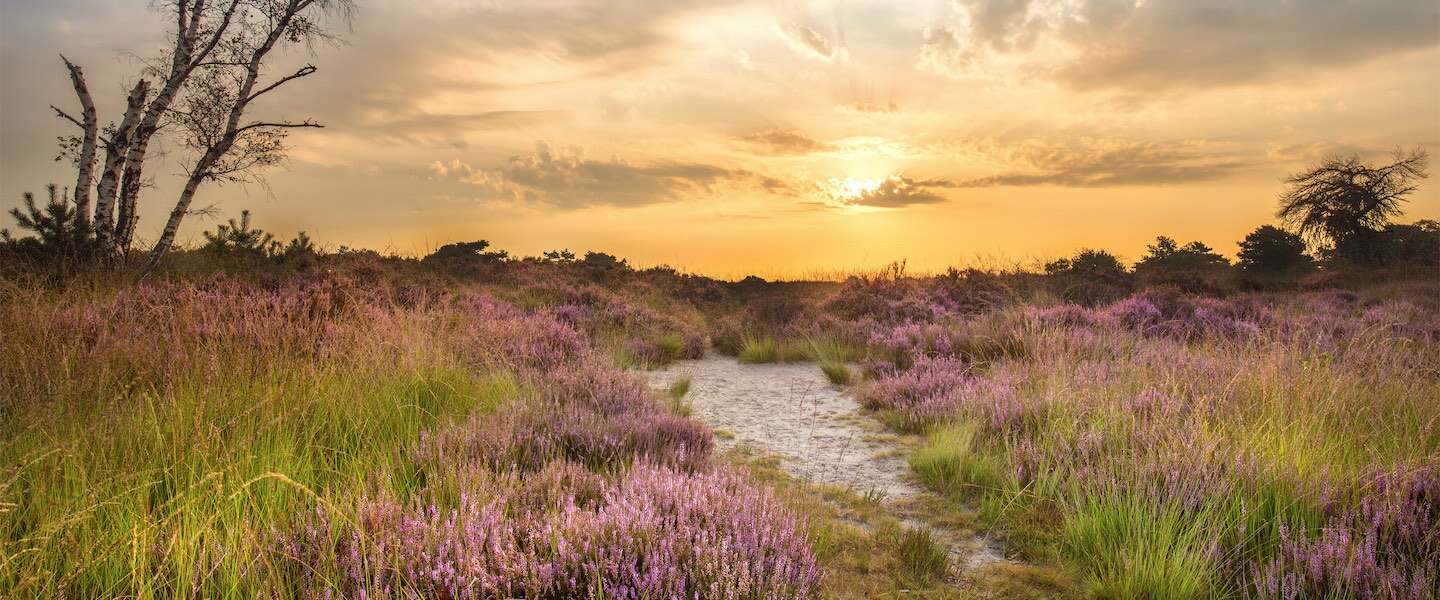 natuurgebieden-noord-brabant.jpg