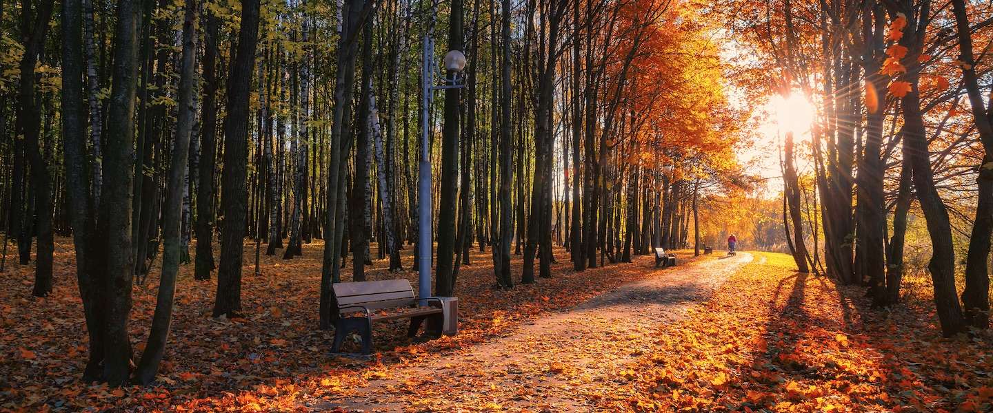 natuurmonumenten-live-facebook.jpg