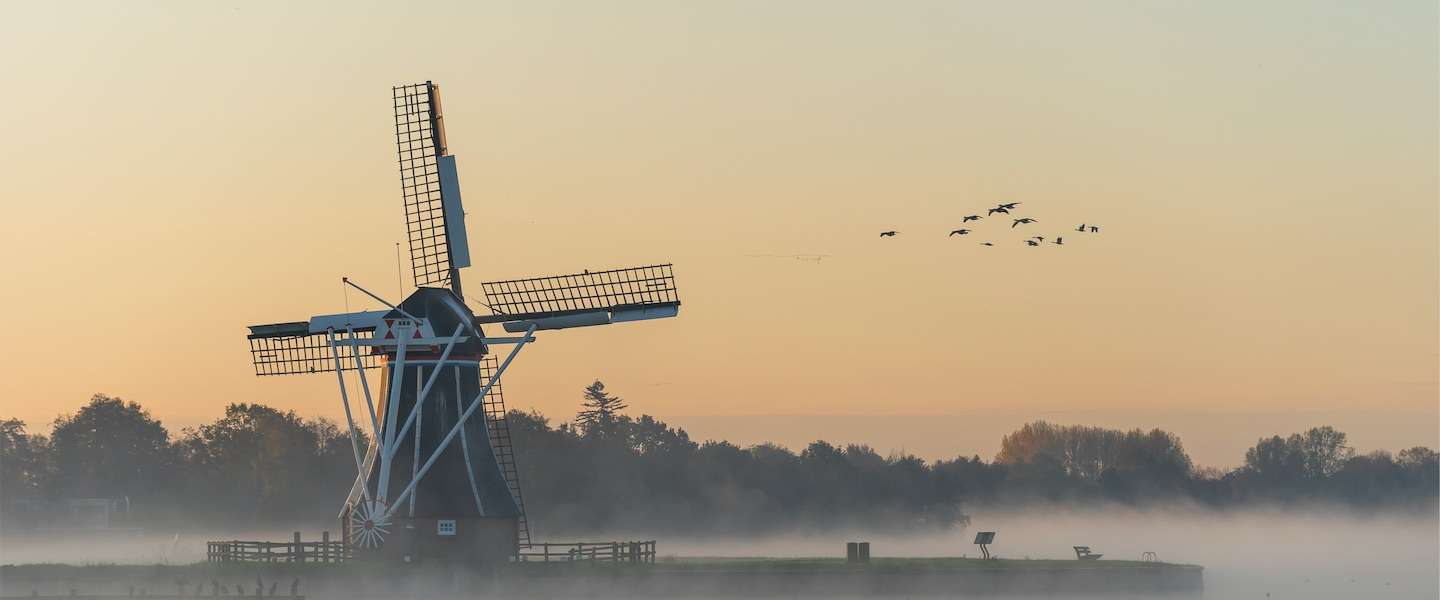 nederlandse-natuurfotografen.jpg