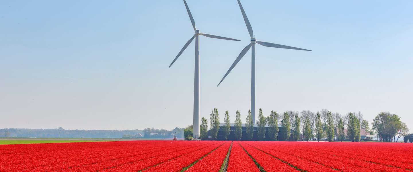 netherlandsandyou-nl-bezoekers-nederland.jpg