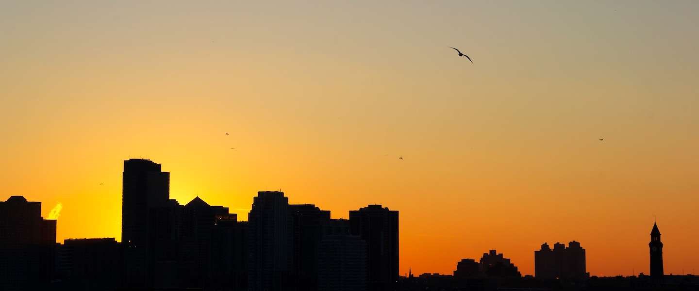 new-york-new-yorkers.jpg