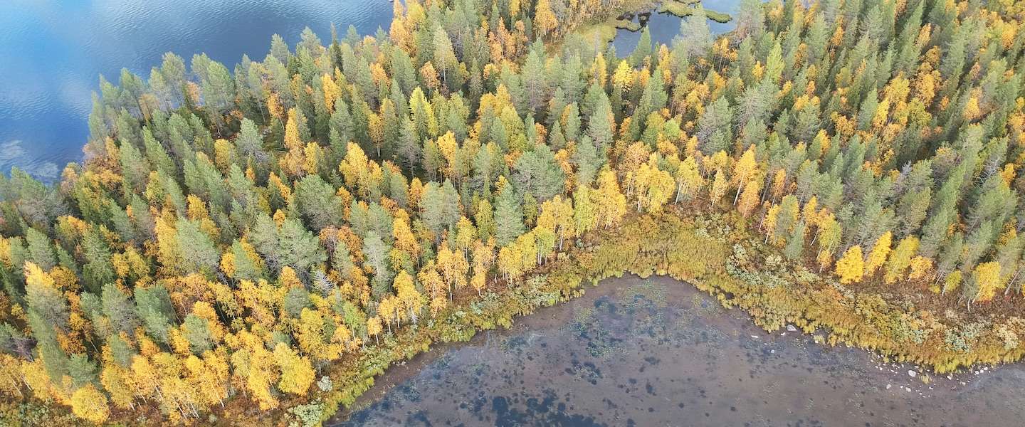noord-finland-lapland.jpg
