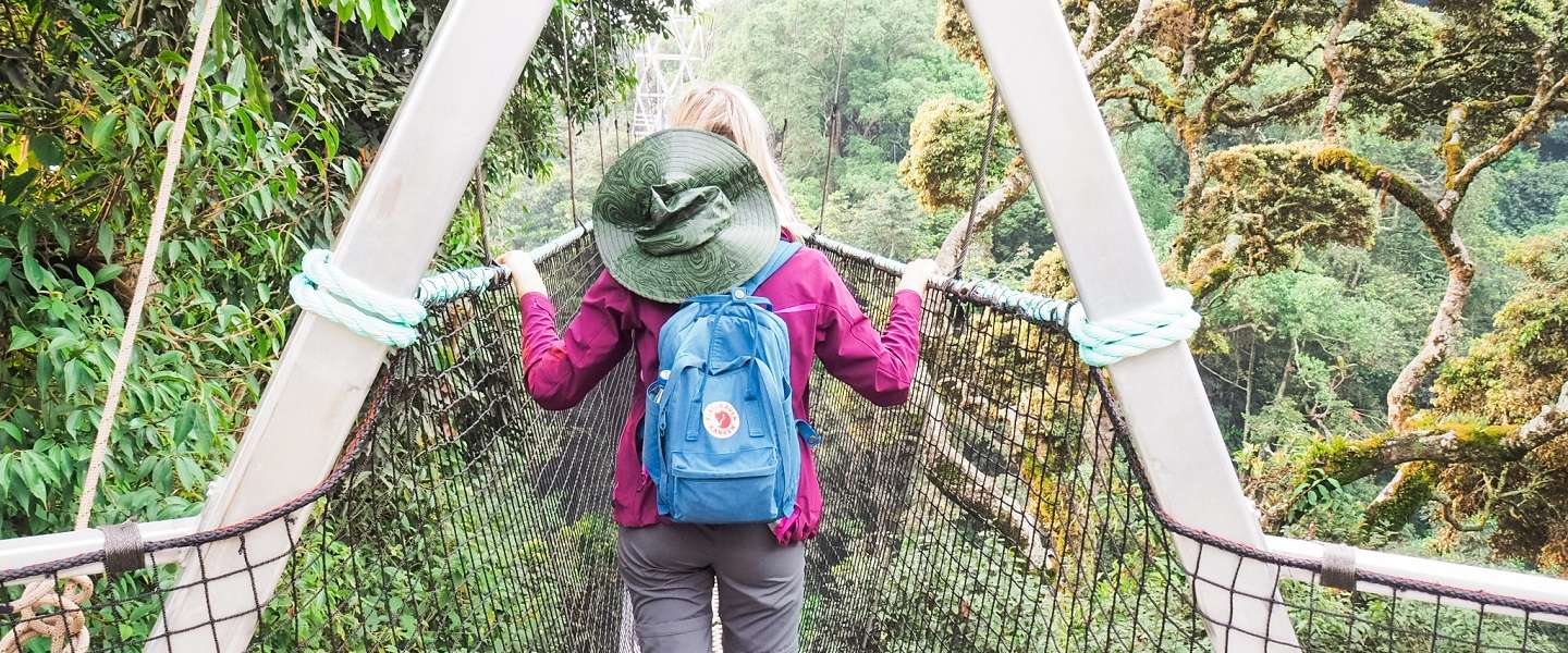 nyungwe-national-park-canopy-walk-rwanda.jpg