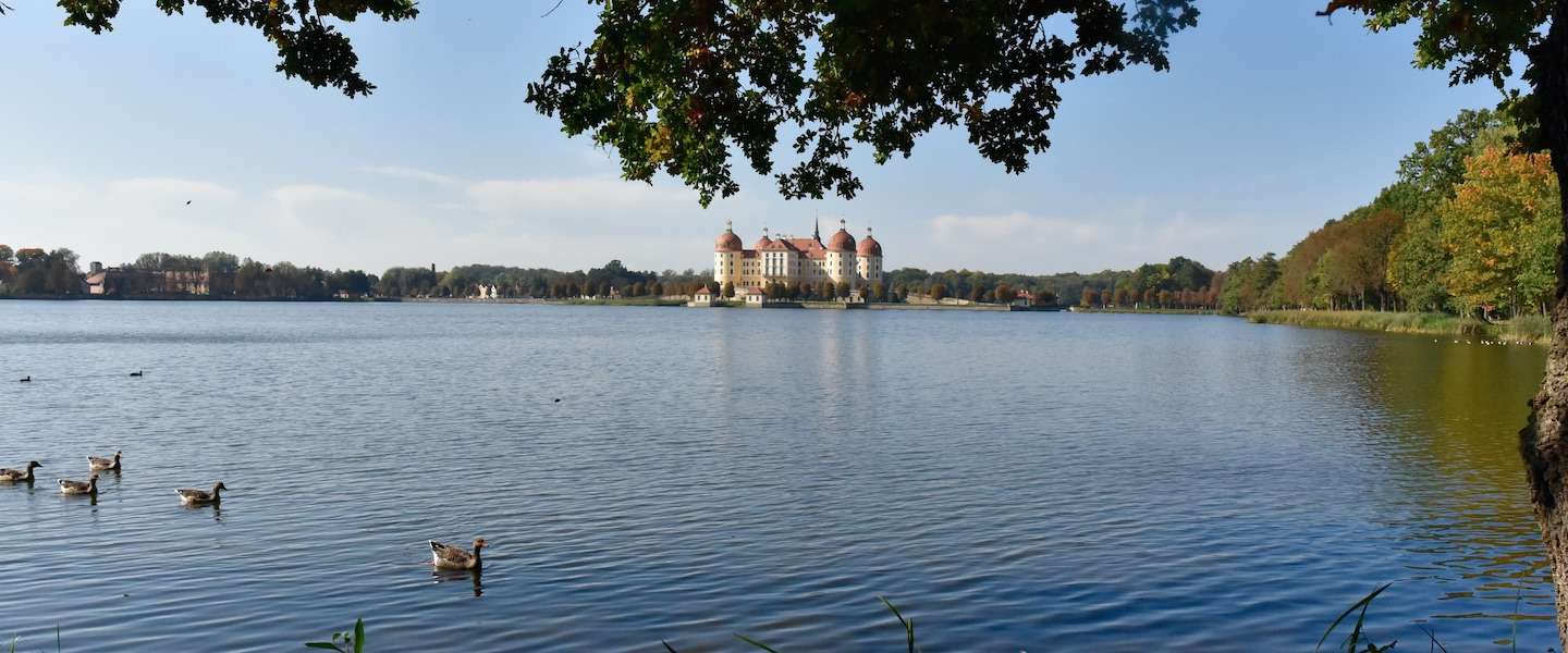 omgeving-dresden.jpg
