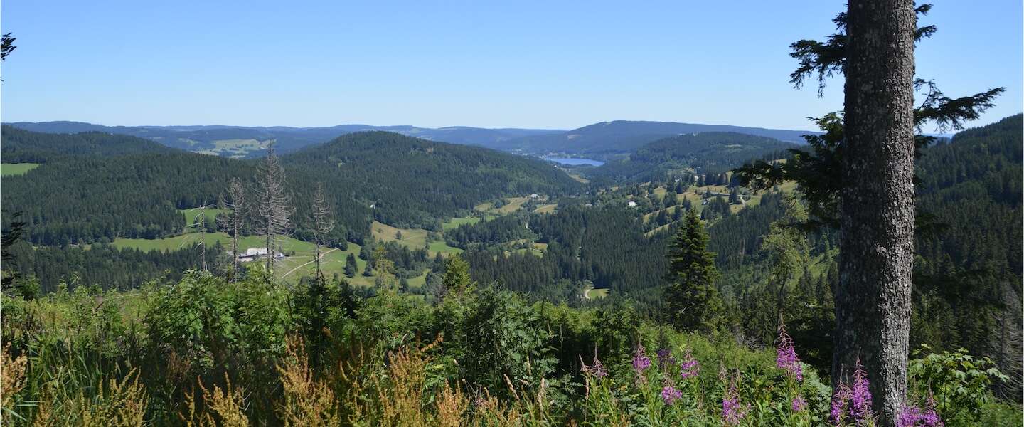 outdoor-tips-zwarte-woud.jpg