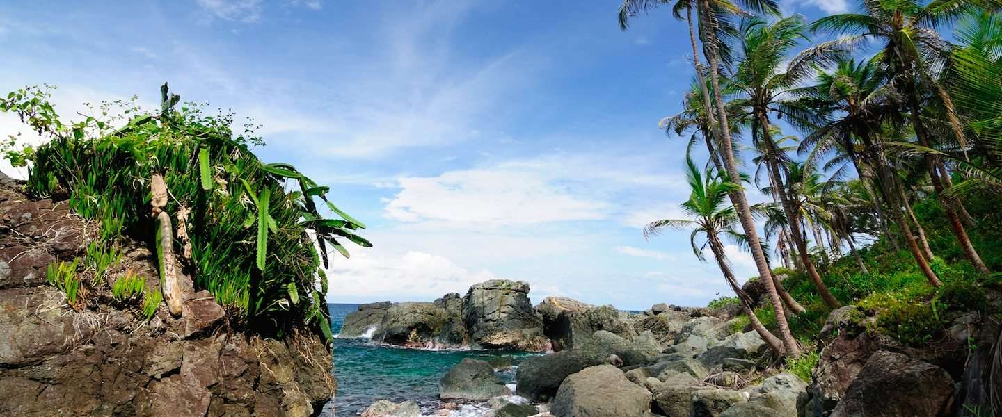 panama-reis.jpg