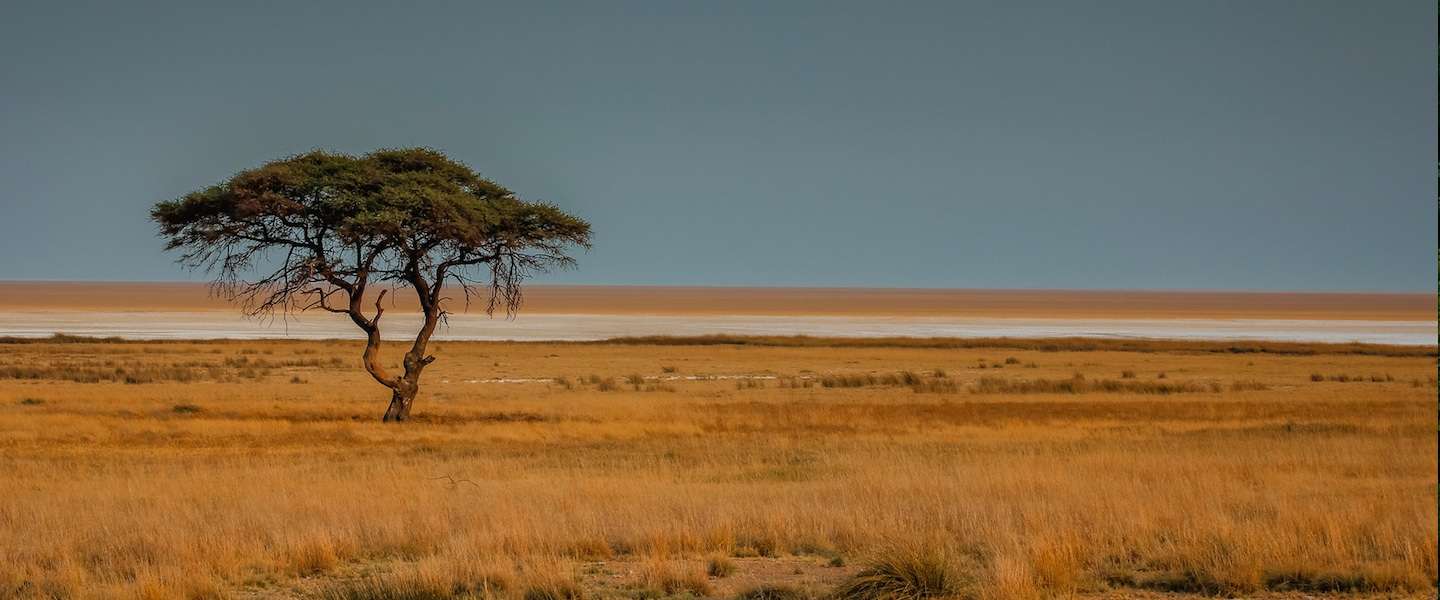 pumba-private-game-reserve.jpg