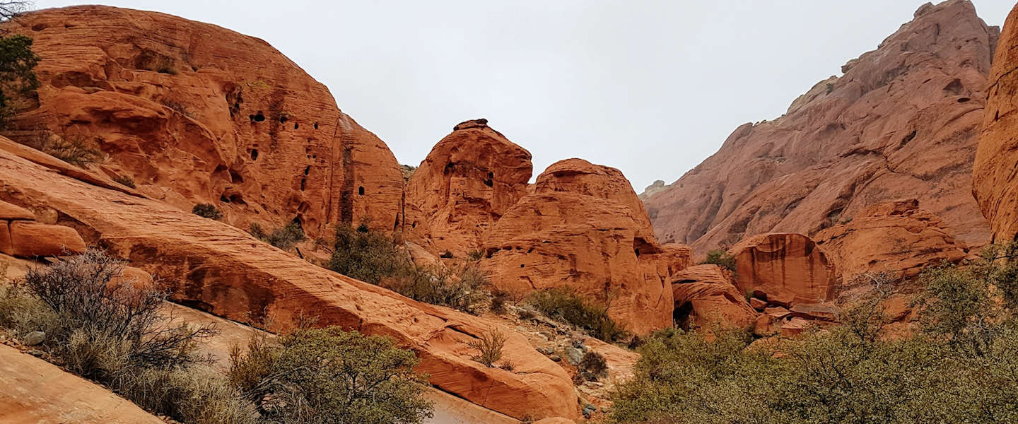 red-rock-canyon-1.jpg