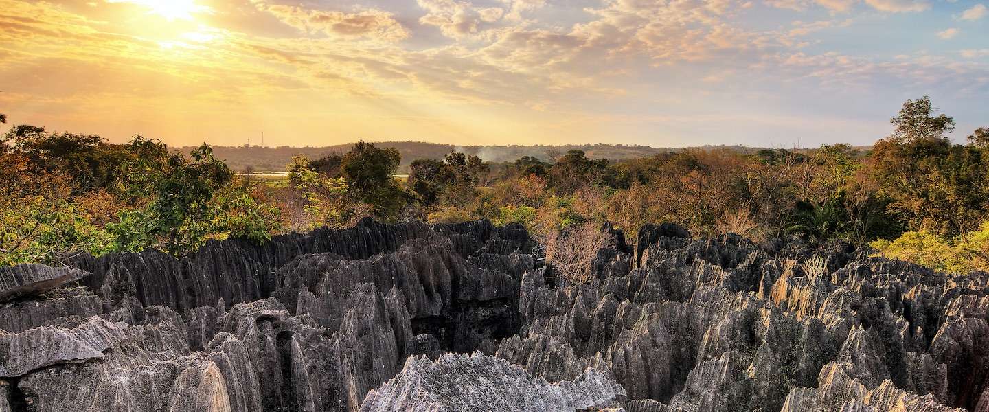 reis-madagascar.jpg