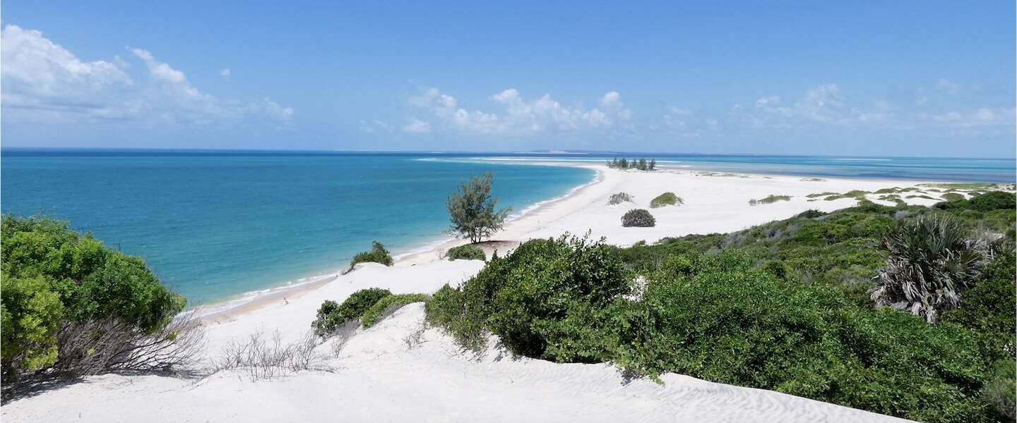 reis-mozambique.jpg