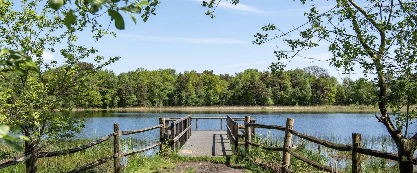 roadtrip-mooiste-plekken-west-brabant.jpg