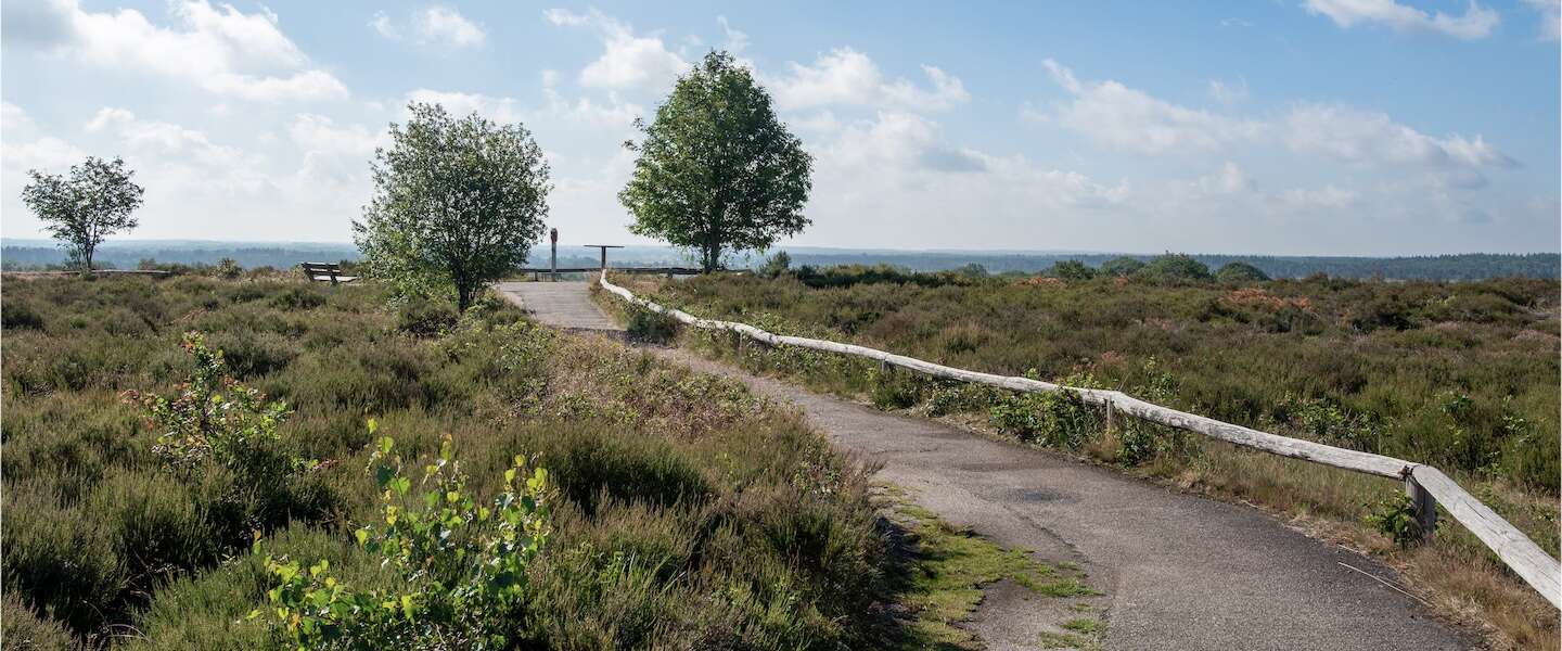 sallandse-heuvelrug.jpg