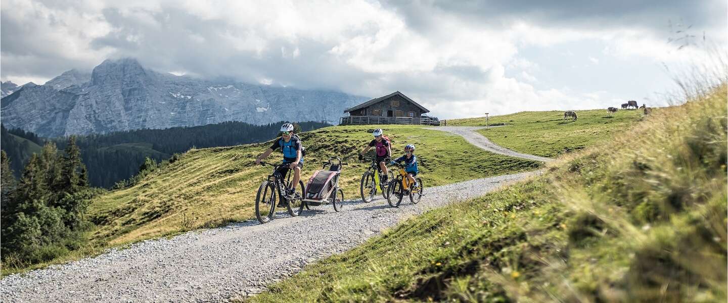 salzburger-saalachtal.jpg