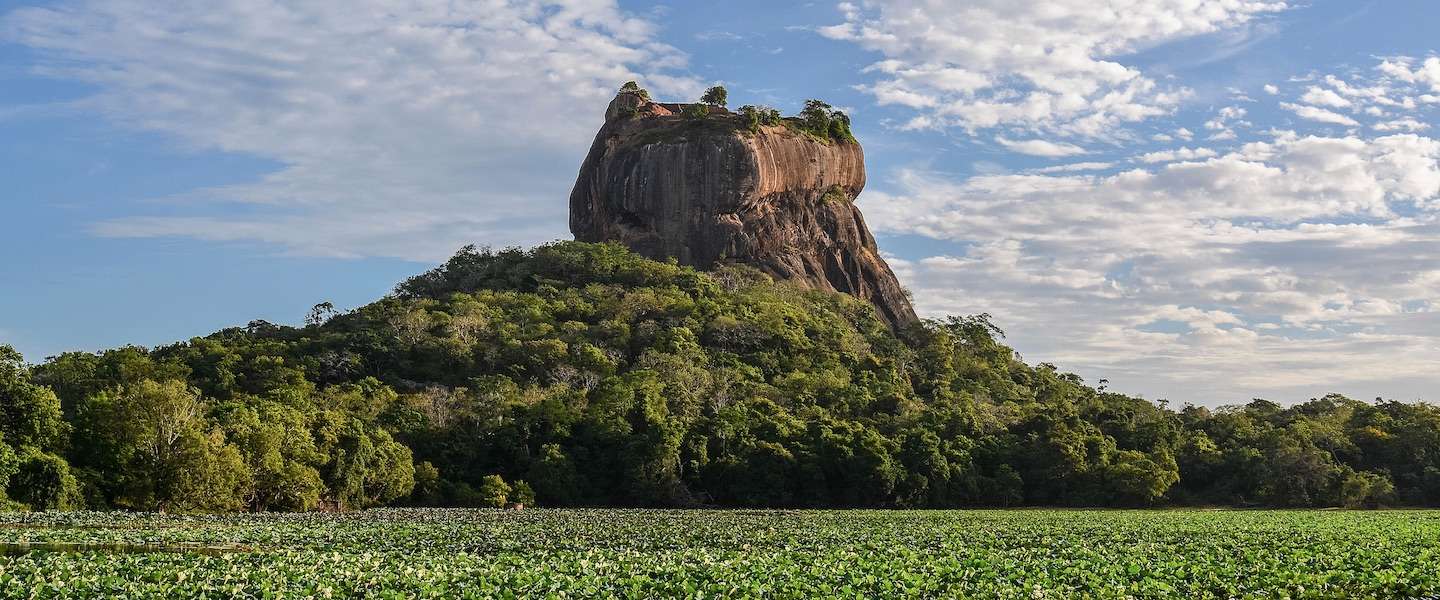 sigiriya-leeuwenrots-sri-lanka.jpg