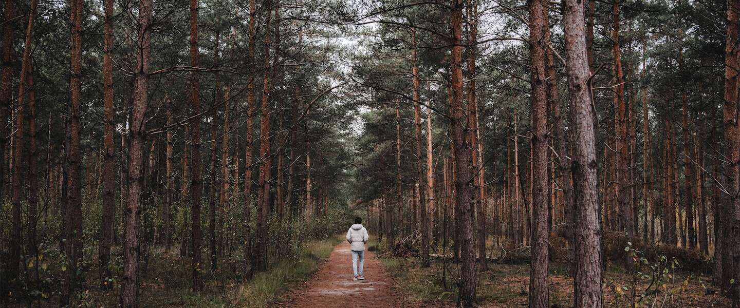 smokkelpad-strijbeekse-heide.jpg
