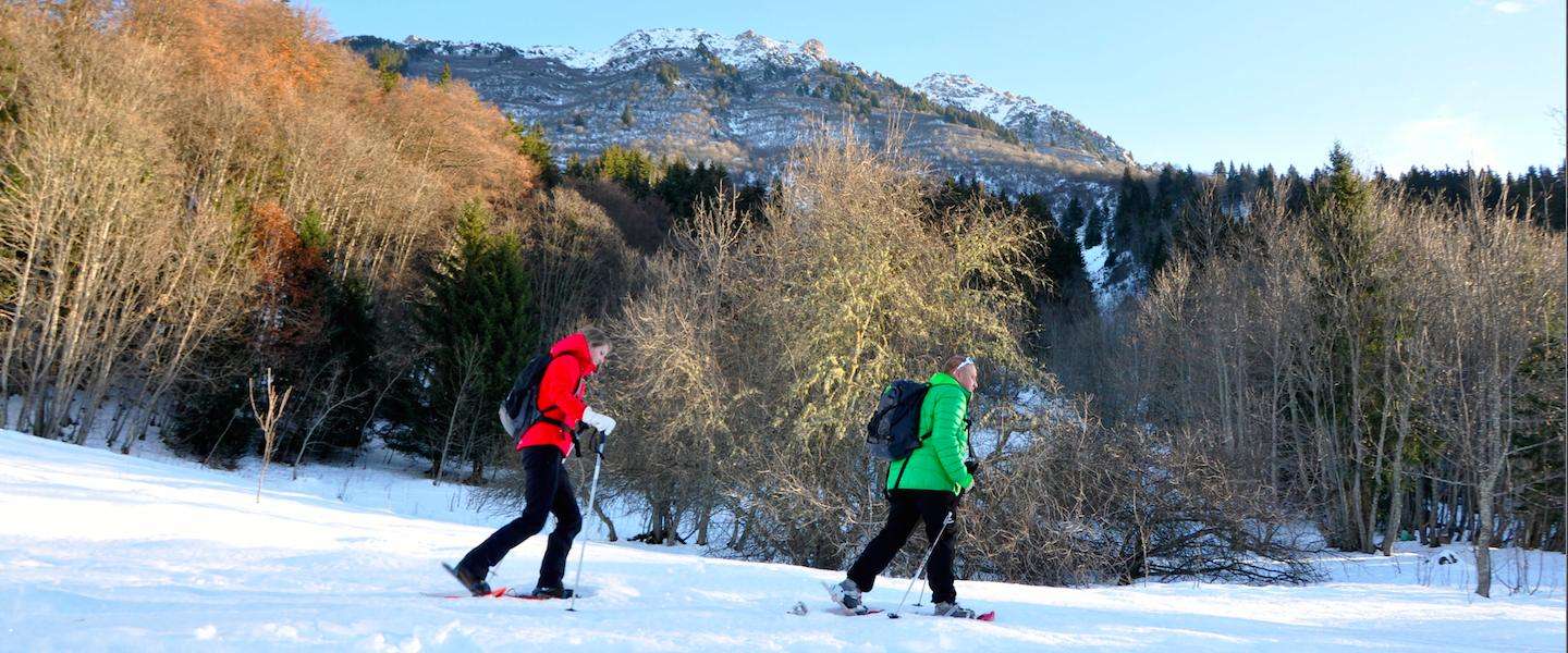 sneeuwschoenwandelen.jpg