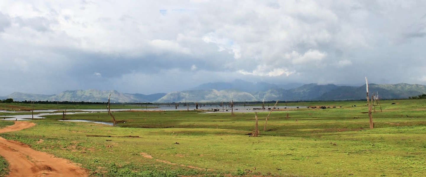 sri-lanka-olifanten-spotten.jpg