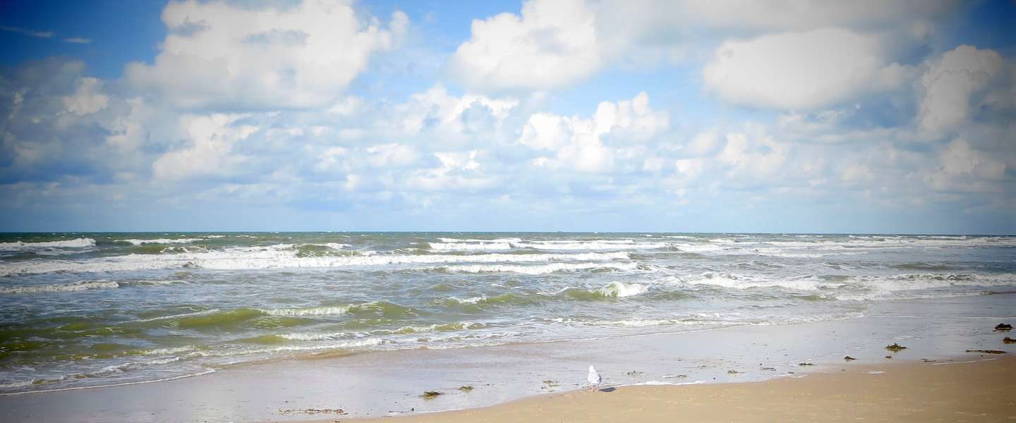strand-zee-3.jpg