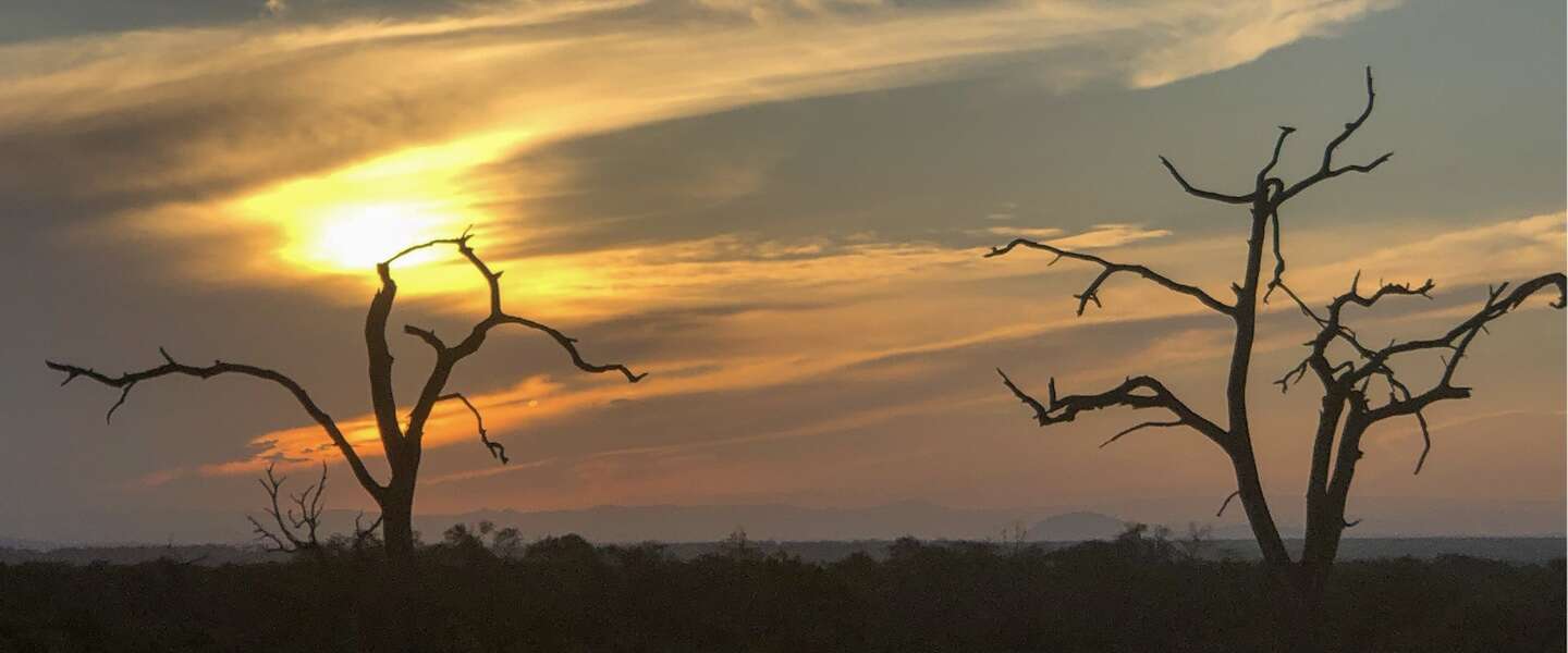 swaziland.jpg