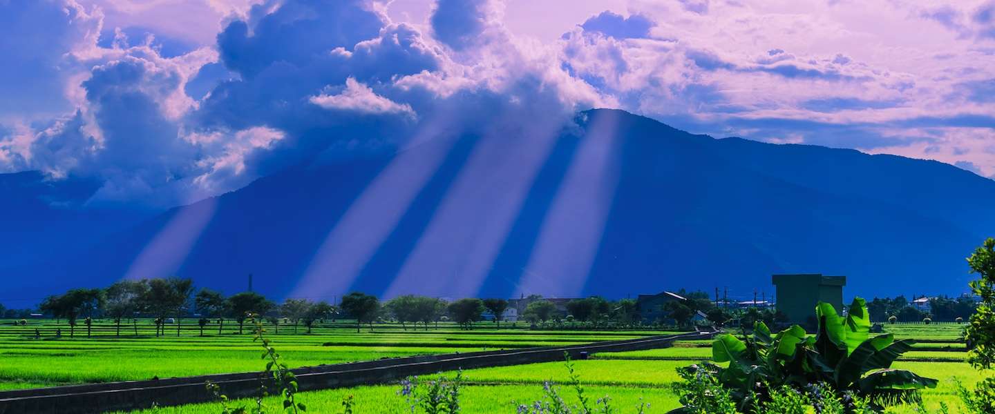 taiwan-tips.jpg