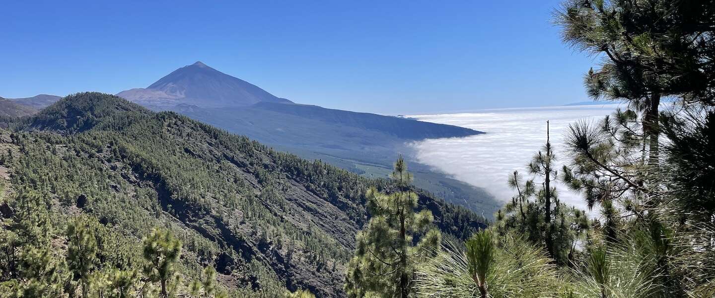 tenerife-doen-op-tenerife.jpg