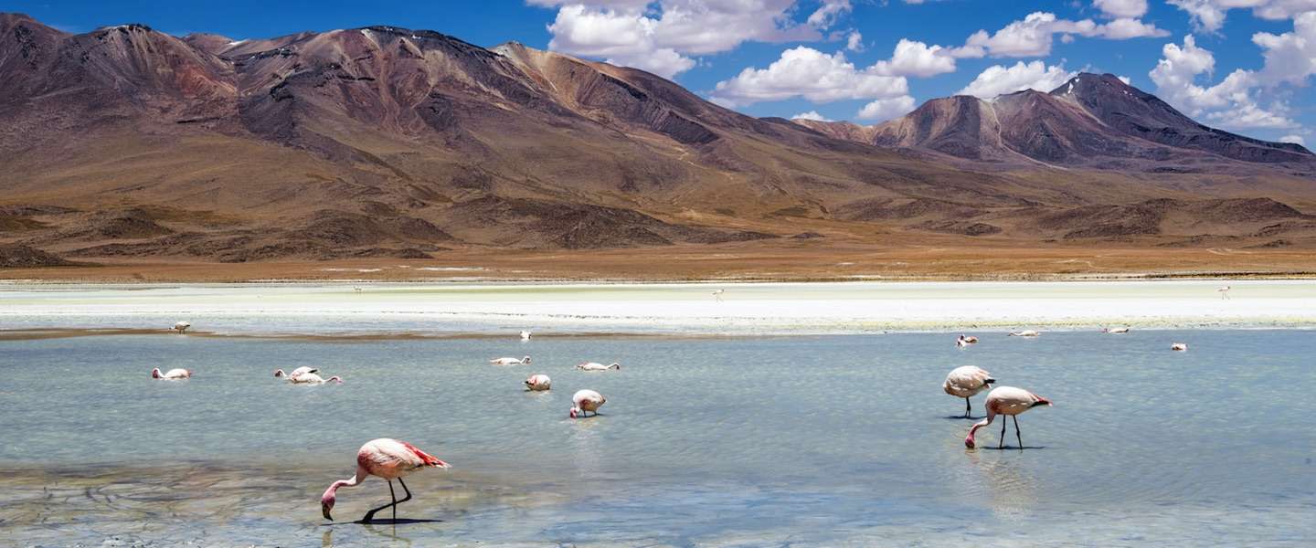 tips-bolivia.jpg