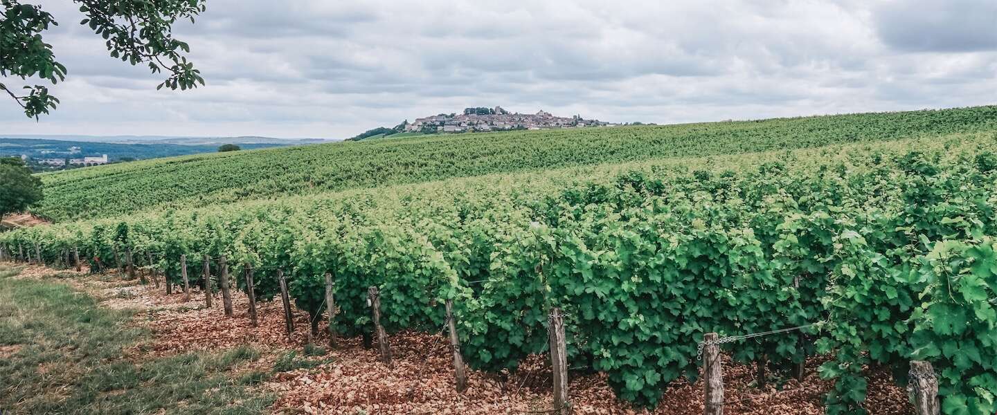 tips-doen-centre-val-de-loire-sancerre.jpg