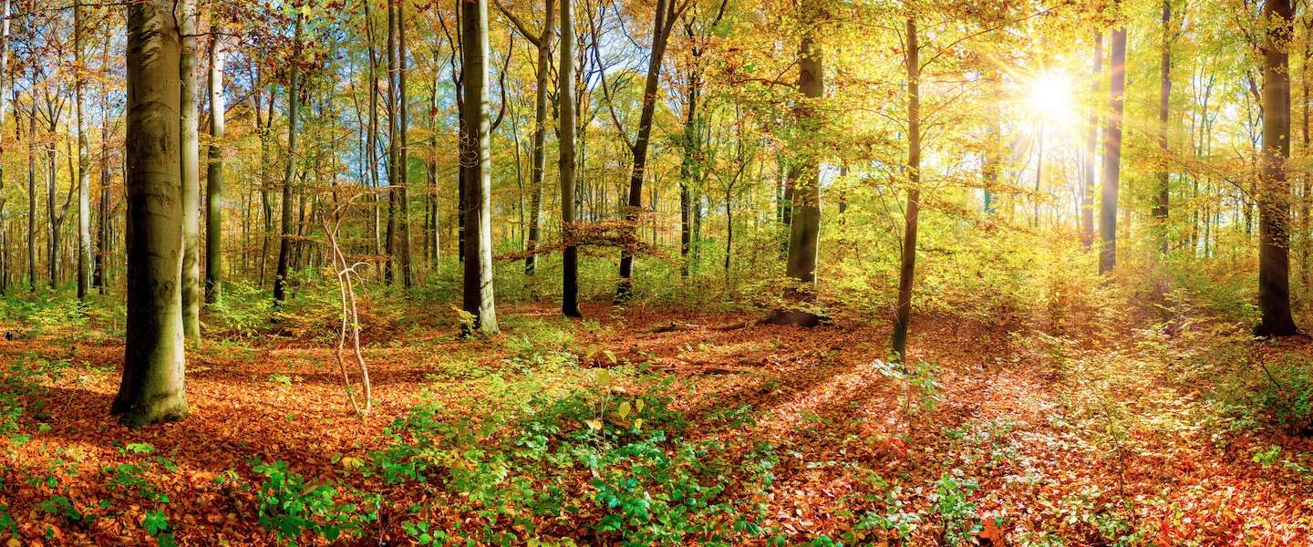 tips-doen-herfst.jpg