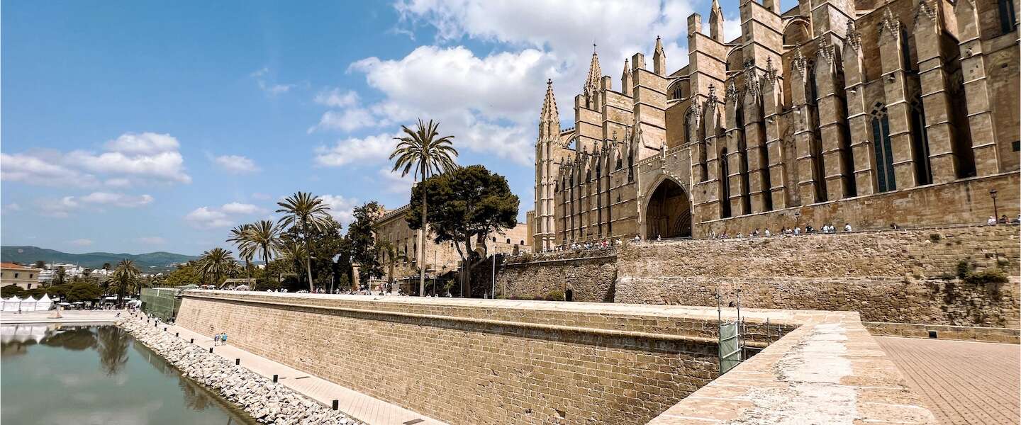 tips-doen-palma.jpg