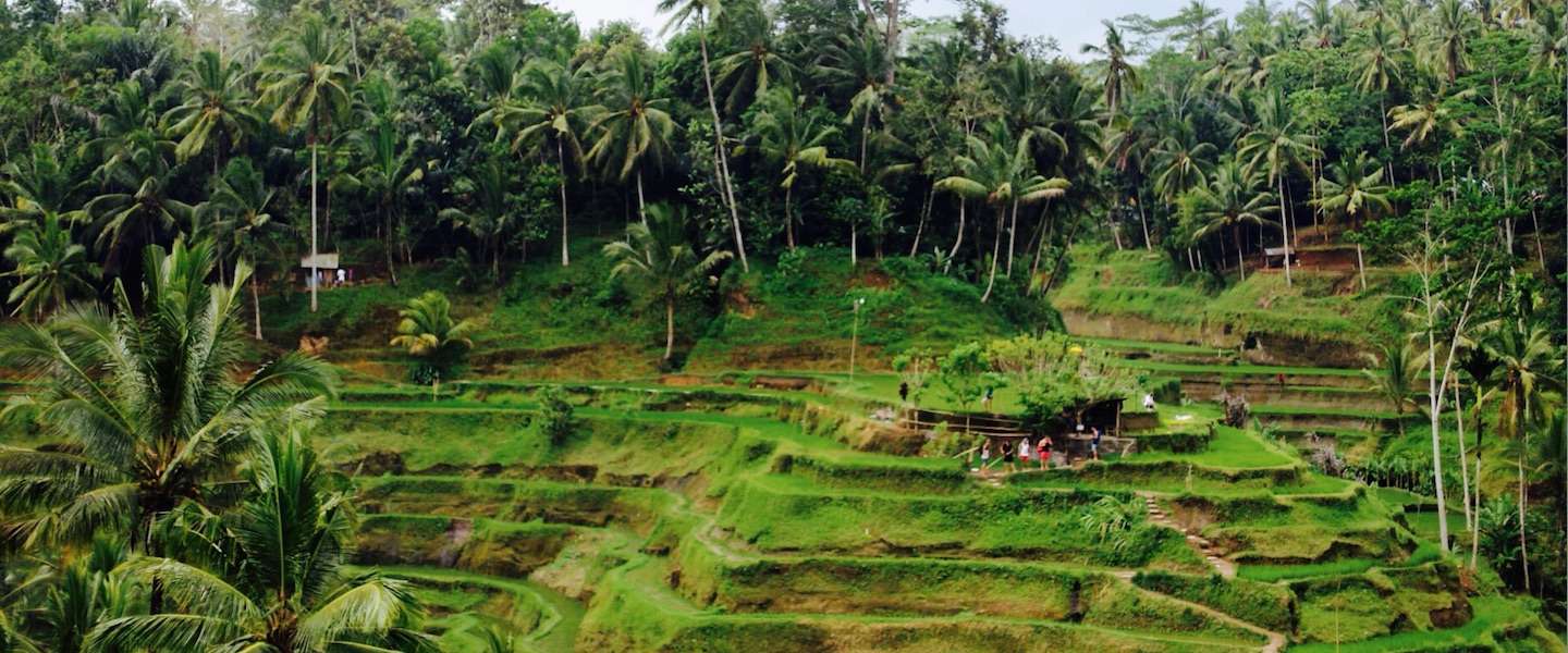 tips-doen-ubud.jpg