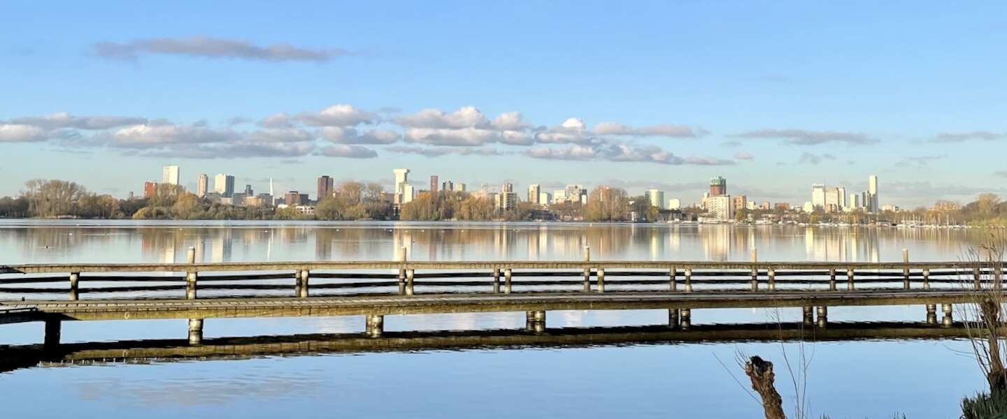 tips-rotterdam-2.jpg