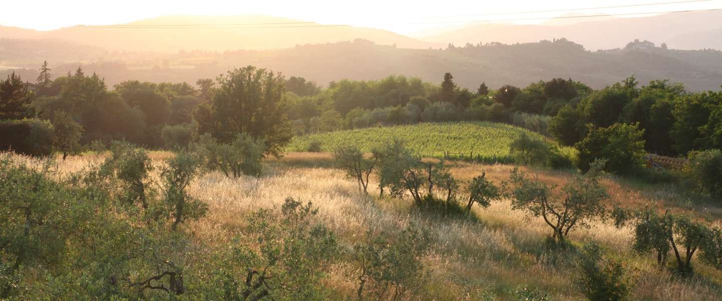 toscane.jpg